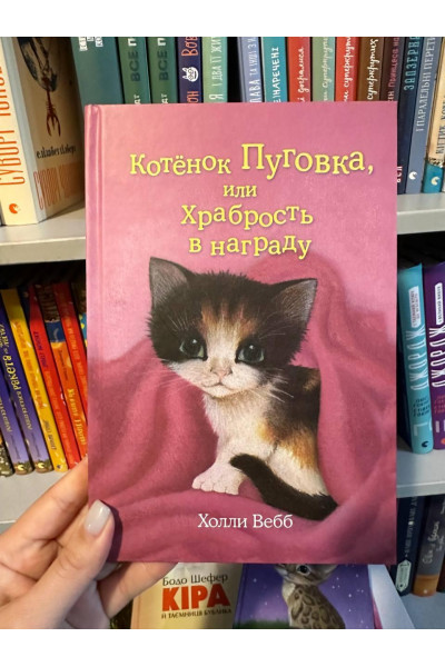 Котенок Сильвер или Полосатый храбрец - Холли Вебб